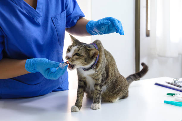 Deworming Treatment