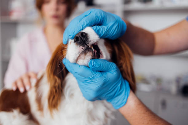 Routine Check-Up