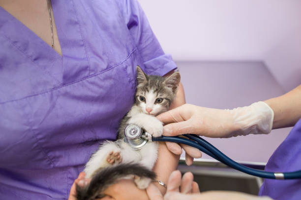 Medical Treatment